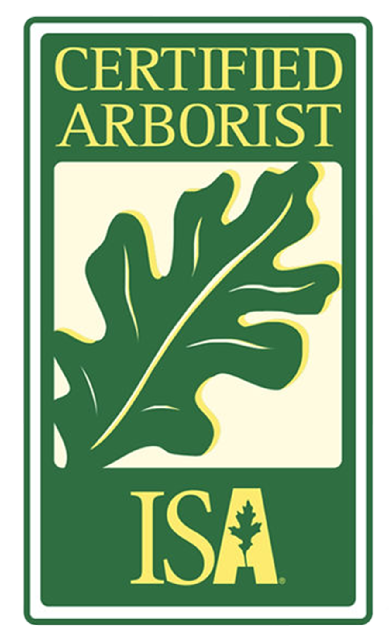 Stop work order tree DC - certified arborist with DMV Horticulture
