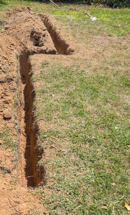 Tape measure in an open trench documenting root depth during a root investigation